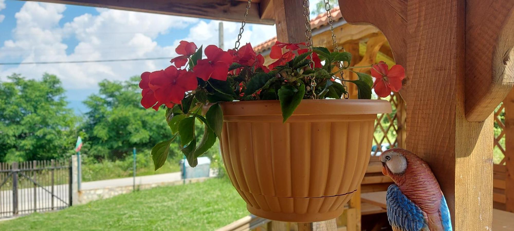 Mini Complex Rilski Terasi Sapareva Banya Esterno foto