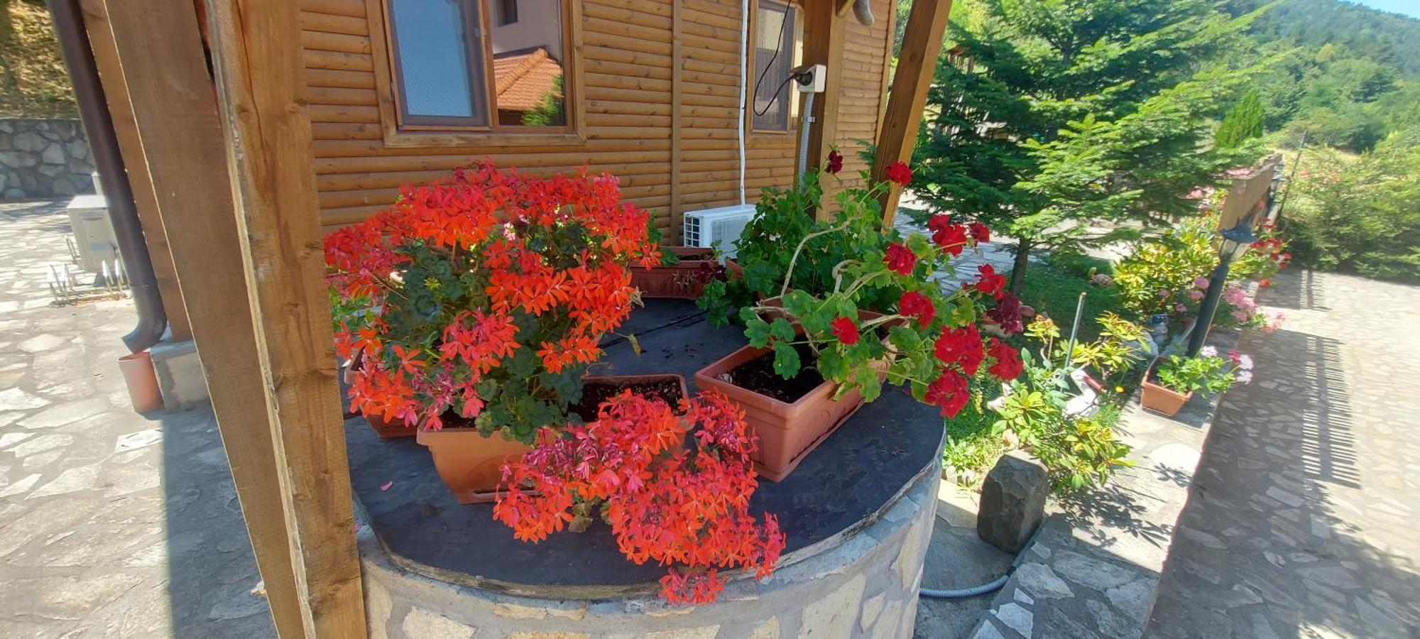 Mini Complex Rilski Terasi Sapareva Banya Esterno foto